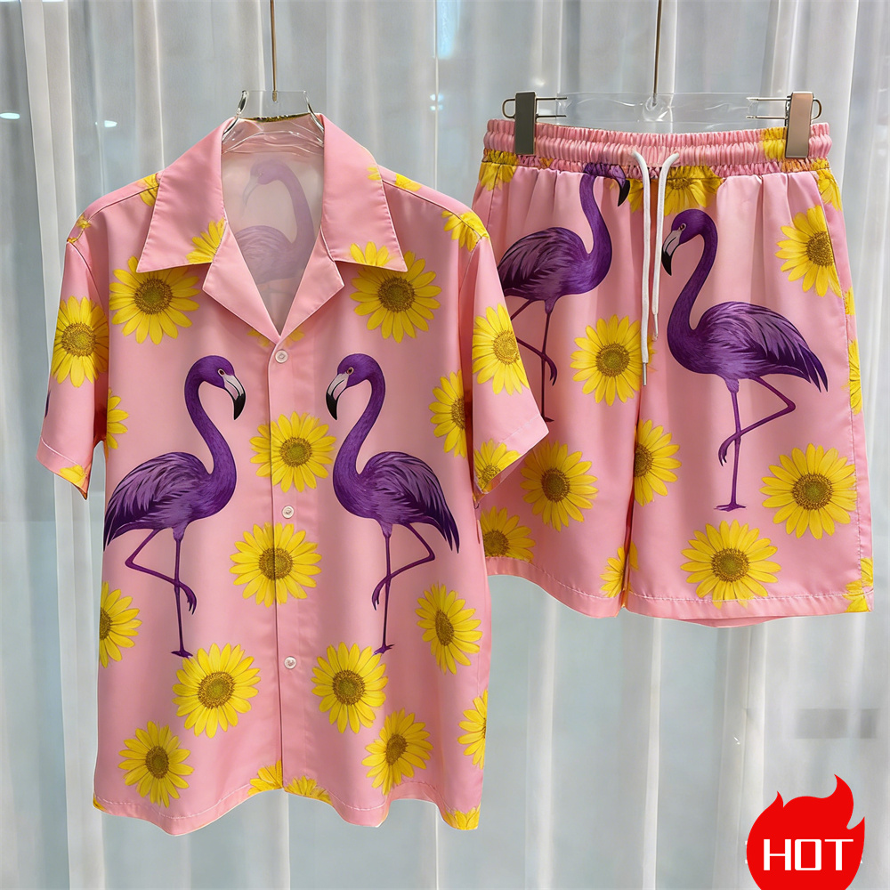 Conjuntos de camisas de verano - Summer Clothing Sets reseña y precio